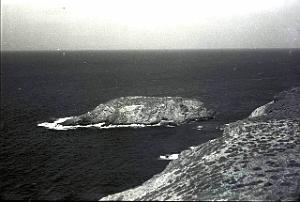 CAP FALCON (1065)